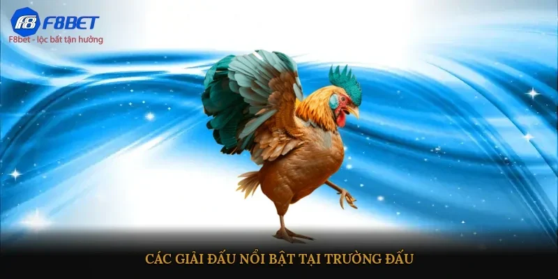 Các giải đấu nổi bật tại trường đấu